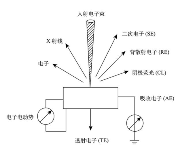 掃描電鏡工作原理